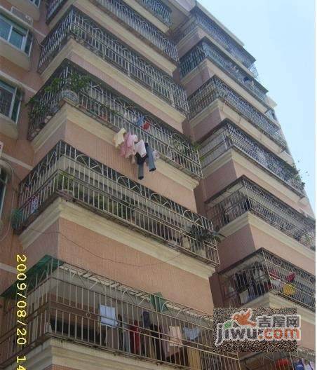 丽苑阁实景图图片