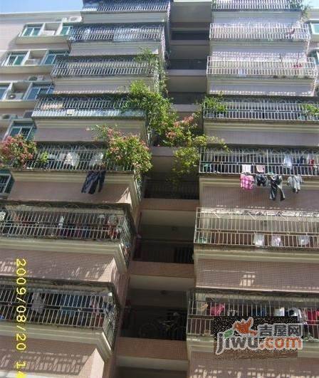 丽苑阁实景图图片