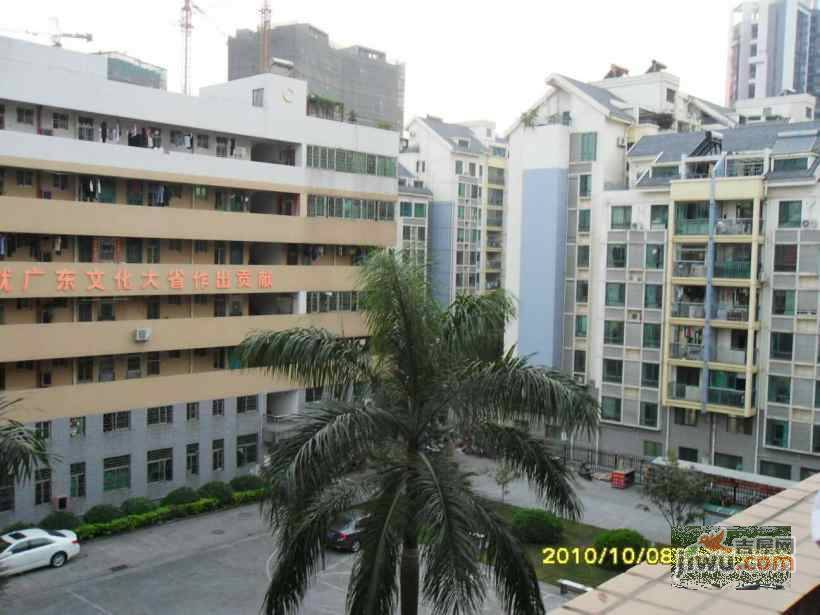 美丽达新村实景图图片