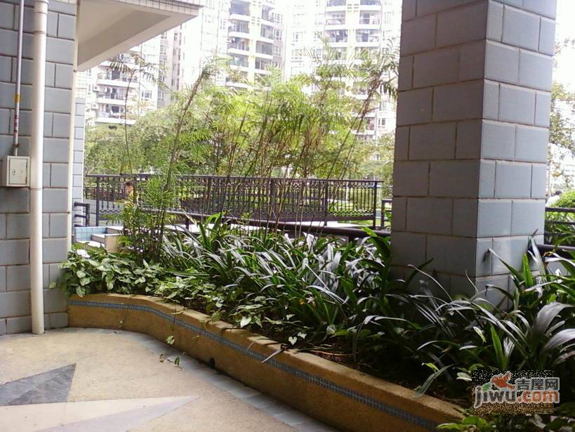 美丽达新村实景图图片