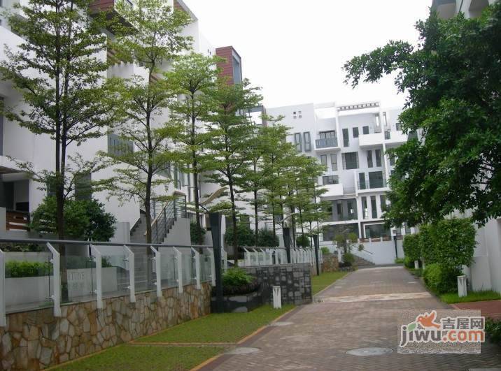 中央悦城实景图图片