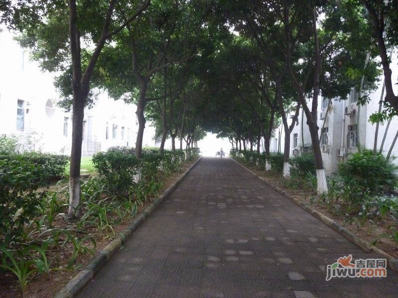 松坪山单身公寓实景图图片