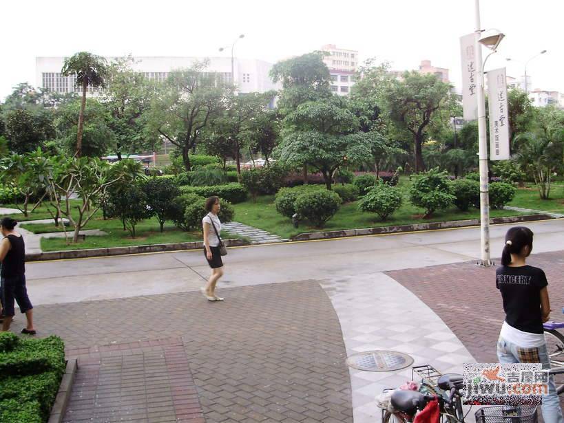 东方新地实景图图片