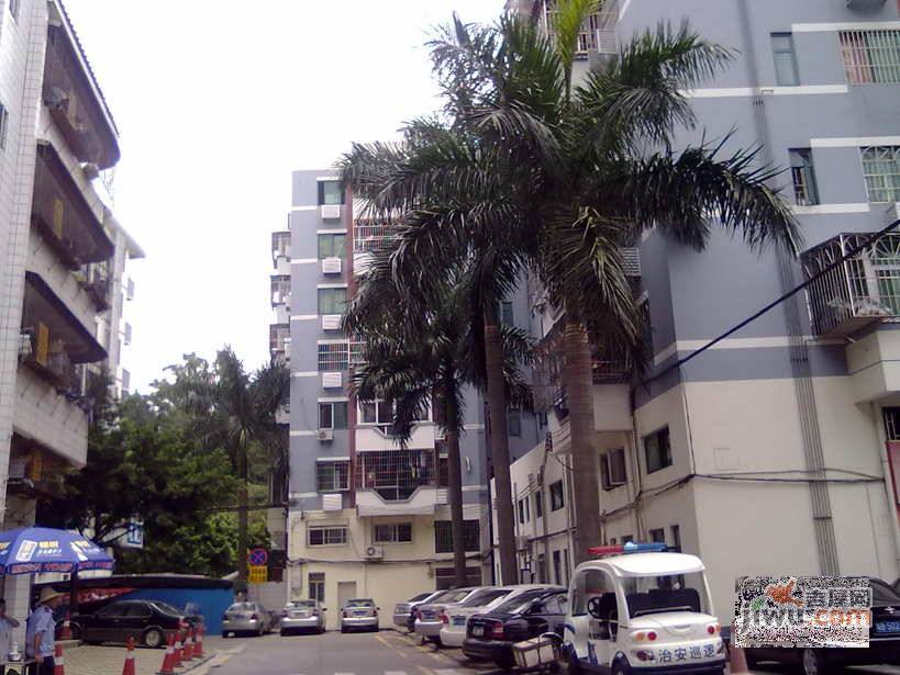 74区住宅楼实景图图片