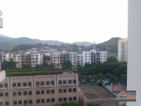 港莲二村实景图图片