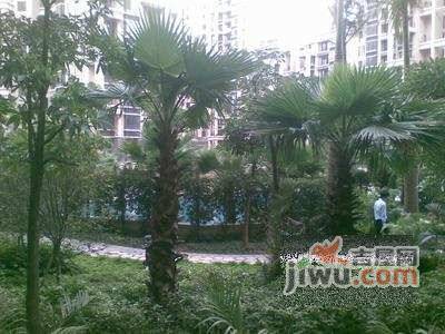 达海花园实景图图片