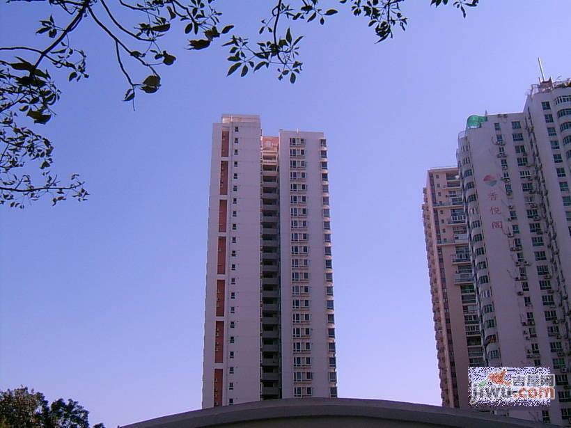 华茂欣园实景图图片