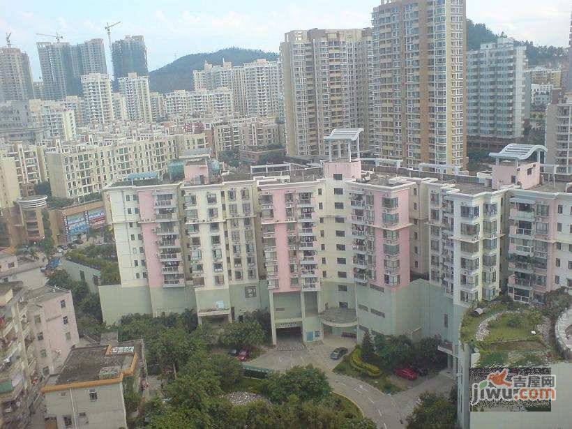 平湖满庭芳实景图图片