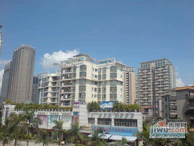 平湖满庭芳实景图图片
