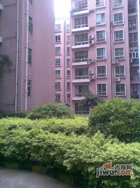 龙威豪庭一期实景图图片
