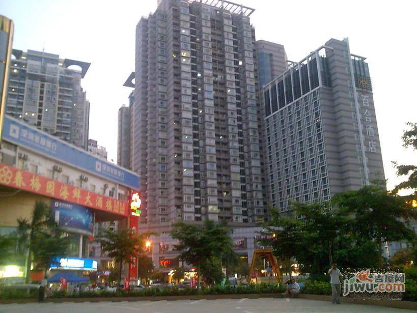 百合银都国际实景图图片
