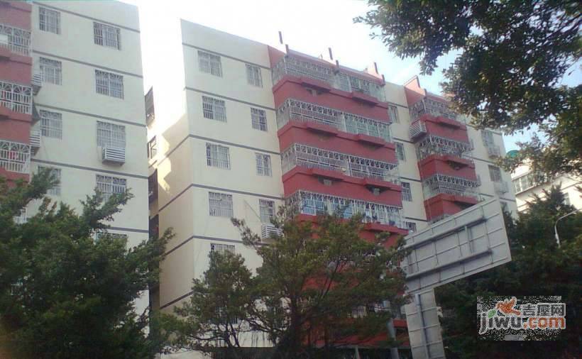 宝安73区住宅楼实景图图片