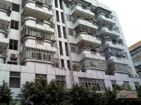 宝安73区住宅楼实景图图片