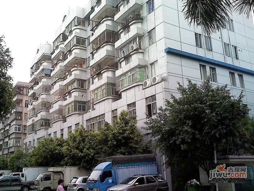 宝安73区住宅楼实景图图片