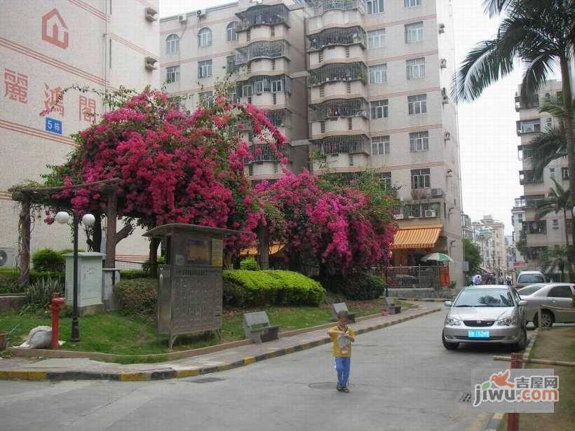 丽湖花园实景图图片