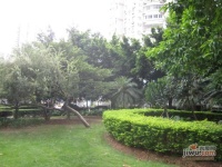 长乐花园实景图图片