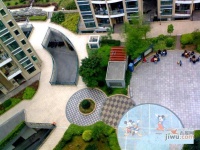 宝安碧海名园实景图图片