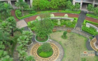 东方盛世花园实景图图片