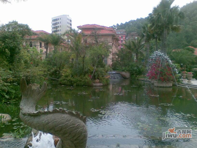 龙园意境实景图图片