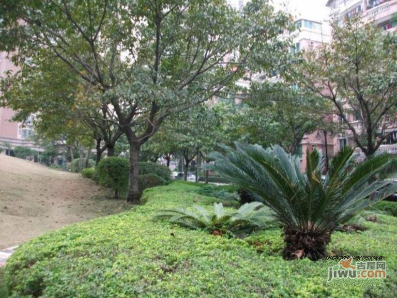 阳光花园一期实景图图片