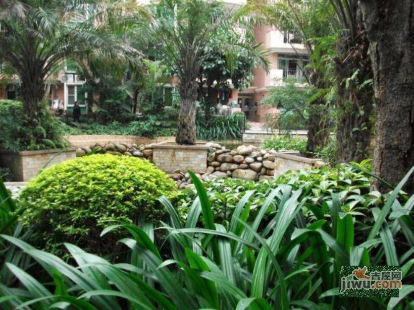 阳光花园一期实景图图片