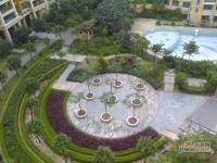 棕榈堡花园实景图图片