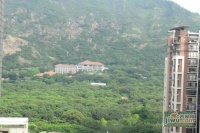 中海阳光玫瑰园实景图图片