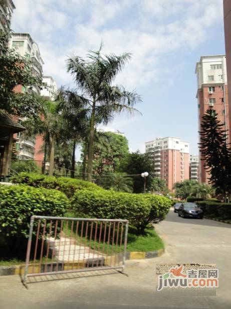 半岛苑实景图图片