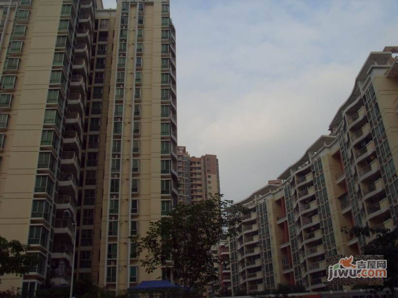 信义假日名城四期实景图图片