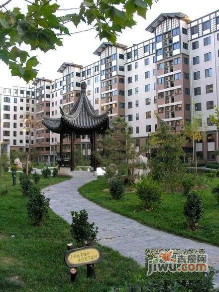 香林玫瑰花园实景图图片