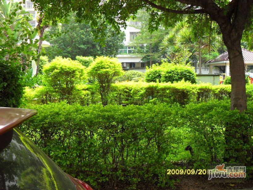 中环花园实景图图片