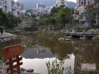 中海半山溪谷实景图0