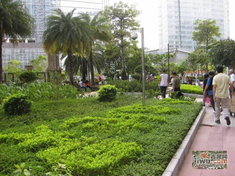 漾日湾畔实景图图片