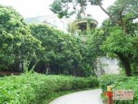 南山花园实景图图片