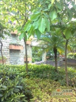 京光海景花园实景图图片