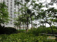 广信花园实景图图片