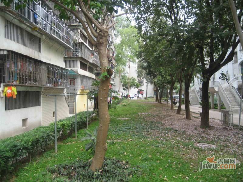 黄木岗北区实景图图片
