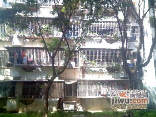 黄木岗北区实景图图片