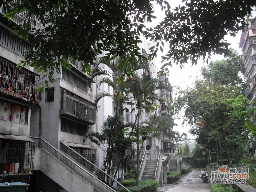 黄木岗北区实景图图片