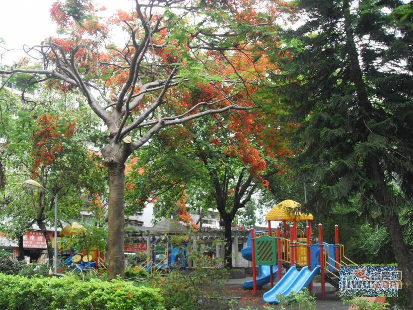 黄木岗北区实景图图片