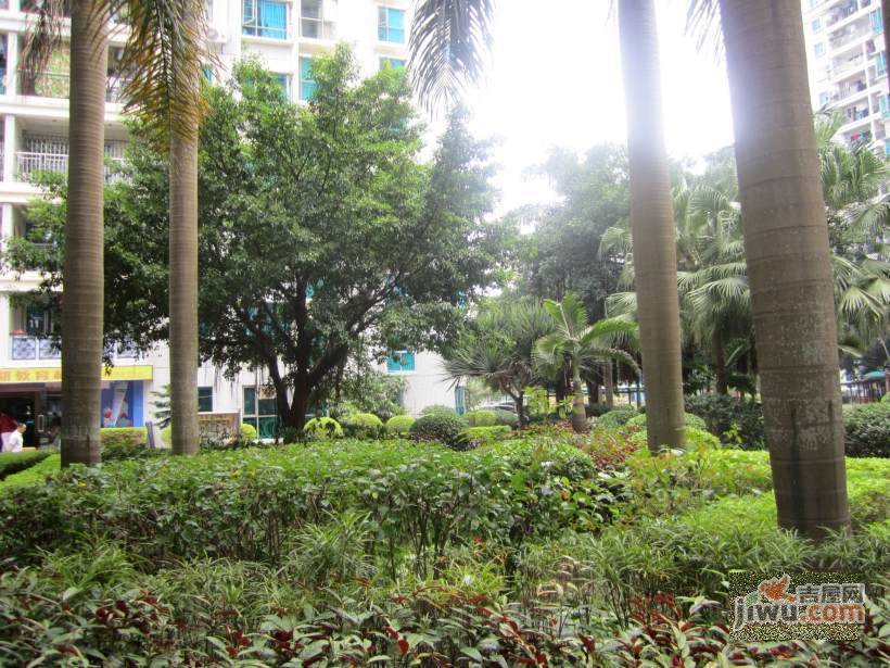 金海燕花园实景图图片