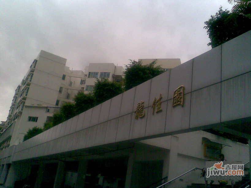 龙佳园实景图图片