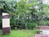 泛海拉菲花园实景图图片