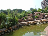 中海阳光棕榈园三期实景图图片