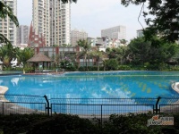 中海阳光棕榈园三期实景图图片