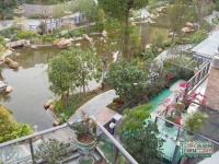 桐林花园实景图图片