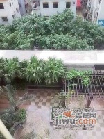 泰华俊庭实景图图片