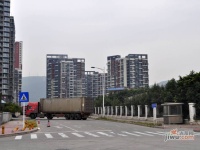 花样年花港实景图图片