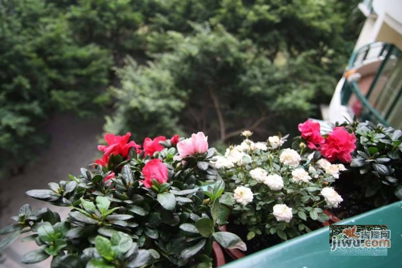 水榭花都实景图图片