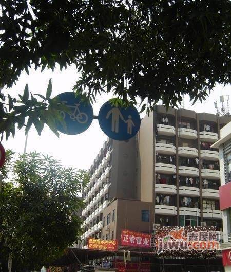 中兴之家实景图图片